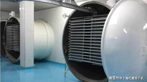 凍干粥生產設備及工藝流程解析與光伏設備元器件銷售市場概覽